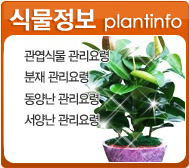 �Ĺ���������