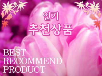 �α���õ��ǰ