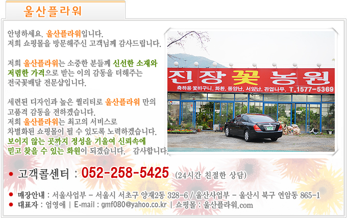 �ö������ �Ұ�