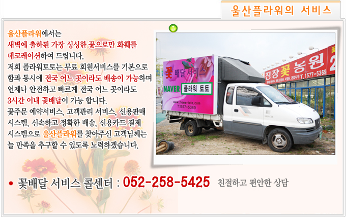 �ö�������� ����