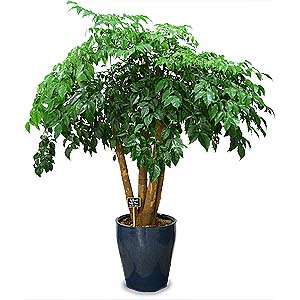 �󼼳��뺸��