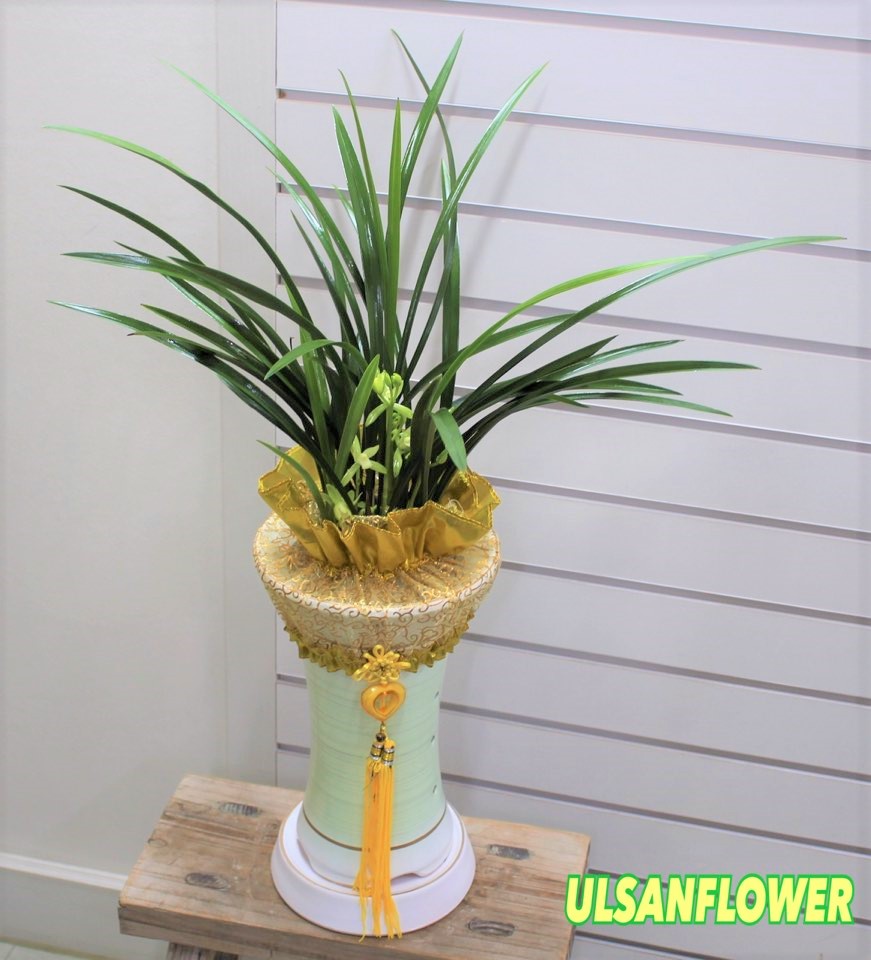 �󼼳��뺸��