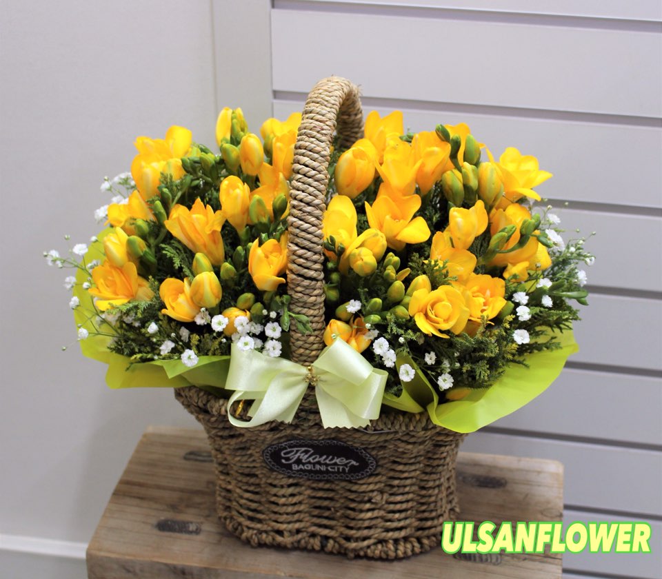 �󼼳��뺸��