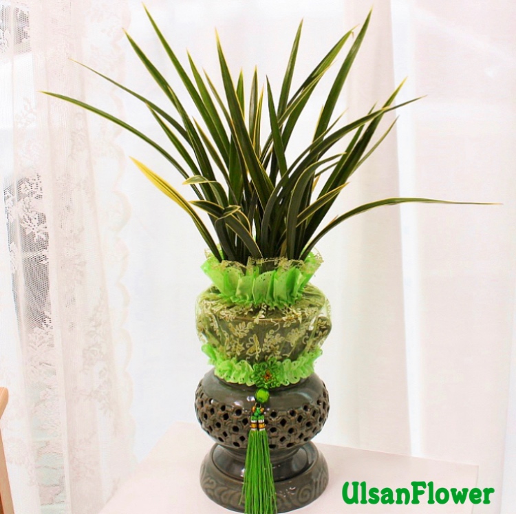 �󼼳��뺸��