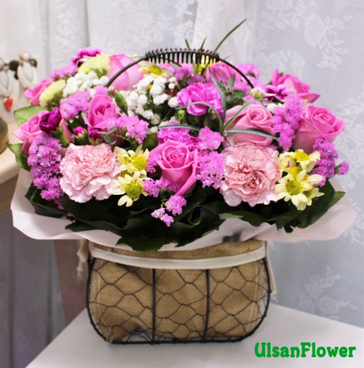 �󼼳��뺸��