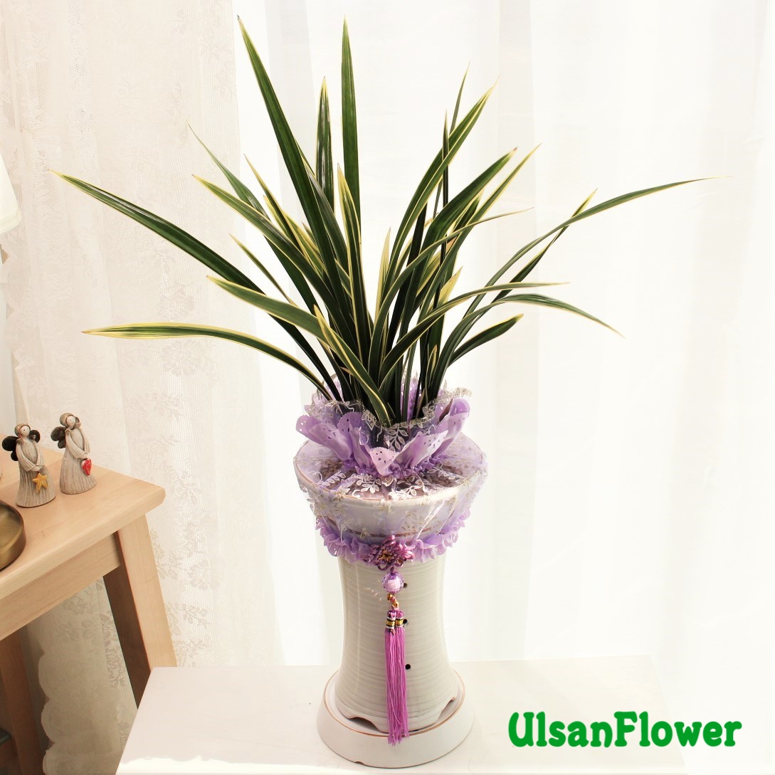 �󼼳��뺸��