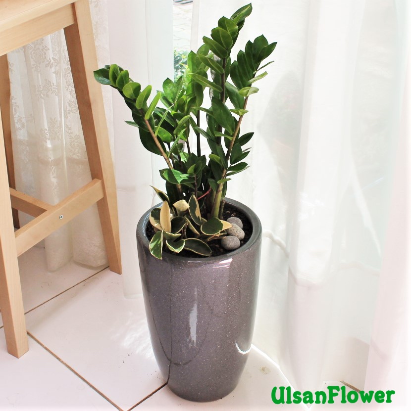 �󼼳��뺸��