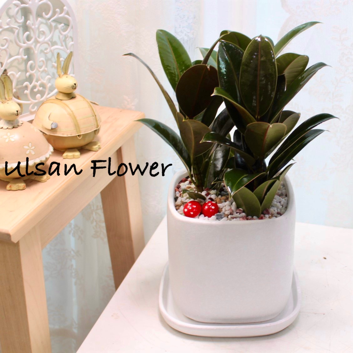 �󼼳��뺸��