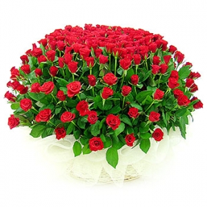 �󼼳��뺸��