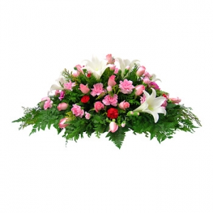 �󼼳��뺸��