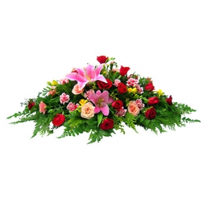 �󼼳��뺸��