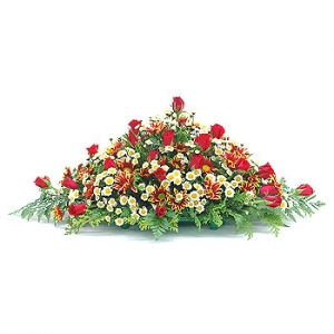 �󼼳��뺸��