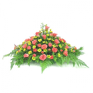 �󼼳��뺸��