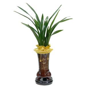 �󼼳��뺸��