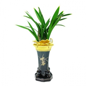 �󼼳��뺸��