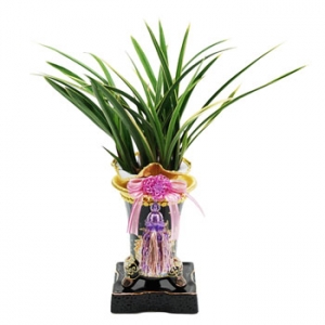 �󼼳��뺸��