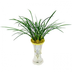 �󼼳��뺸��