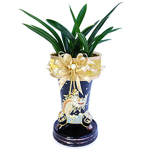 �󼼳��뺸��