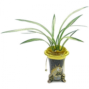 �󼼳��뺸��