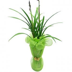 �󼼳��뺸��