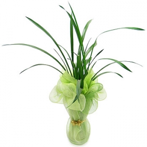 �󼼳��뺸��