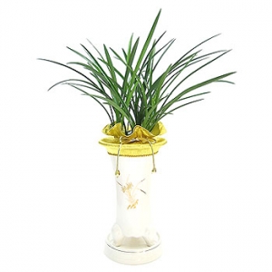 �󼼳��뺸��