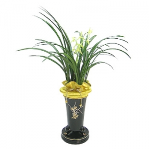 �󼼳��뺸��