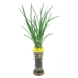 �󼼳��뺸��