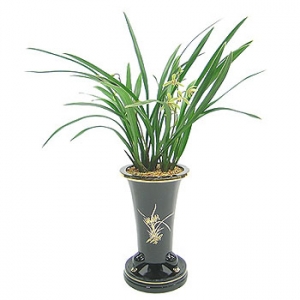 �󼼳��뺸��