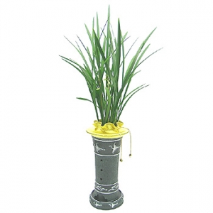 �󼼳��뺸��