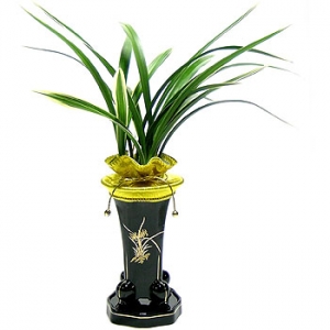 �󼼳��뺸��