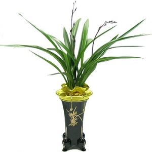 �󼼳��뺸��