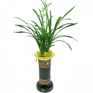 �󼼳��뺸��