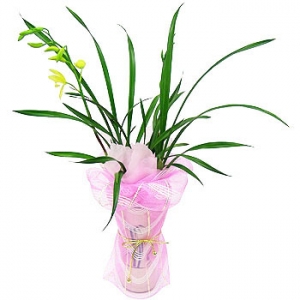 �󼼳��뺸��