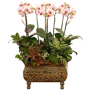 �󼼳��뺸��