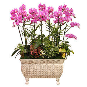 �󼼳��뺸��