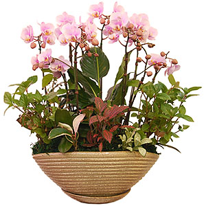 �󼼳��뺸��