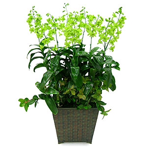 �󼼳��뺸��