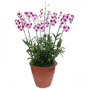 �󼼳��뺸��