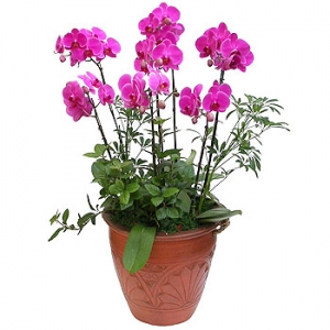 �󼼳��뺸��