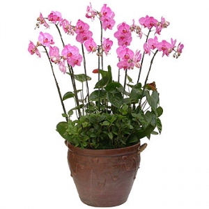 �󼼳��뺸��