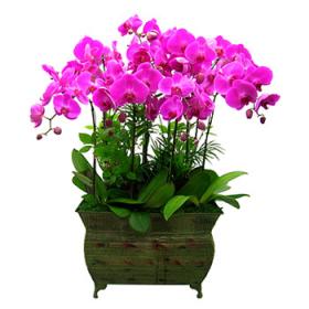 �󼼳��뺸��