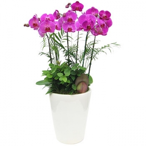 �󼼳��뺸��