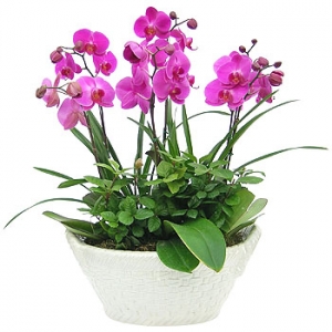 �󼼳��뺸��