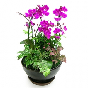 �󼼳��뺸��