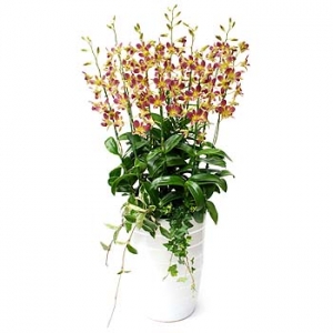 �󼼳��뺸��