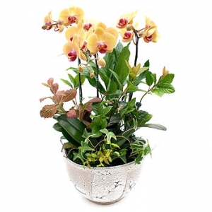 �󼼳��뺸��