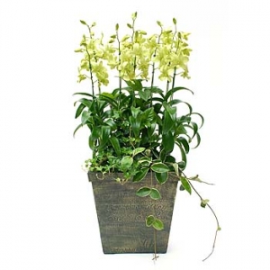 �󼼳��뺸��