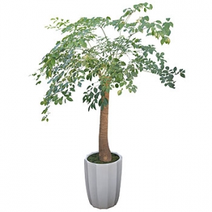 �󼼳��뺸��