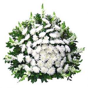 �󼼳��뺸��